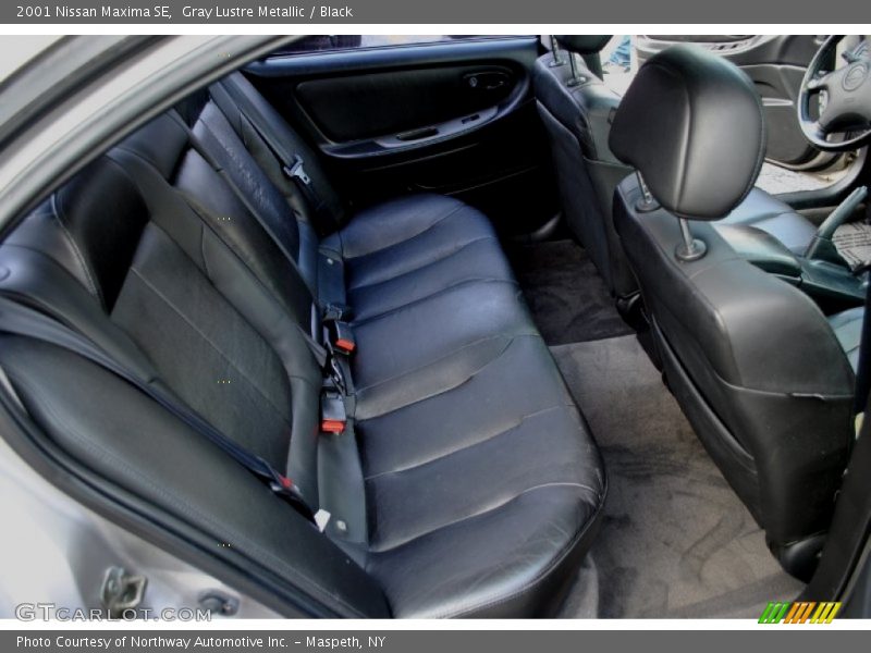 Gray Lustre Metallic / Black 2001 Nissan Maxima SE
