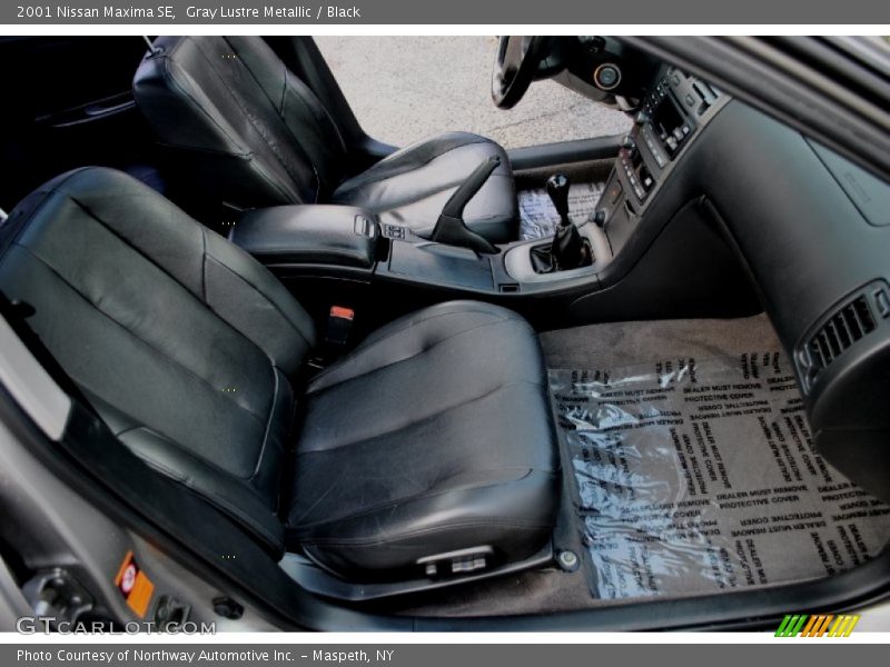 Gray Lustre Metallic / Black 2001 Nissan Maxima SE