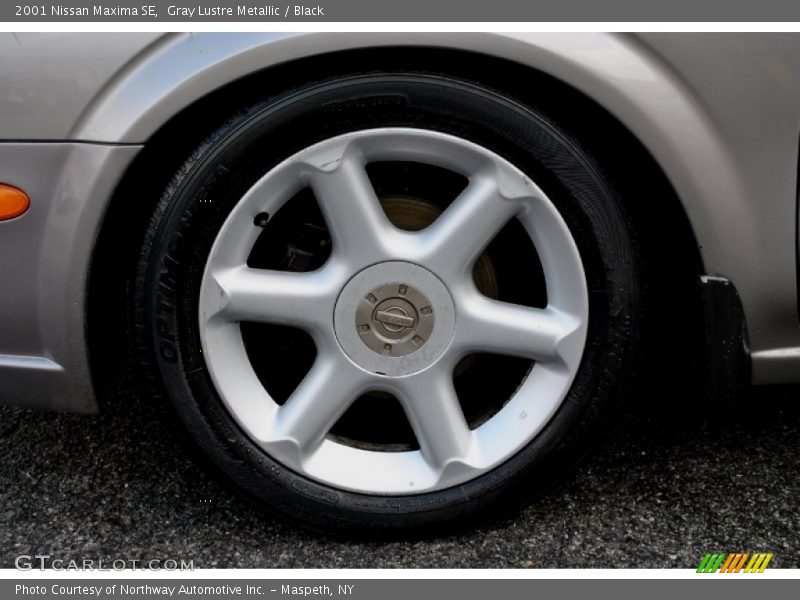 Gray Lustre Metallic / Black 2001 Nissan Maxima SE