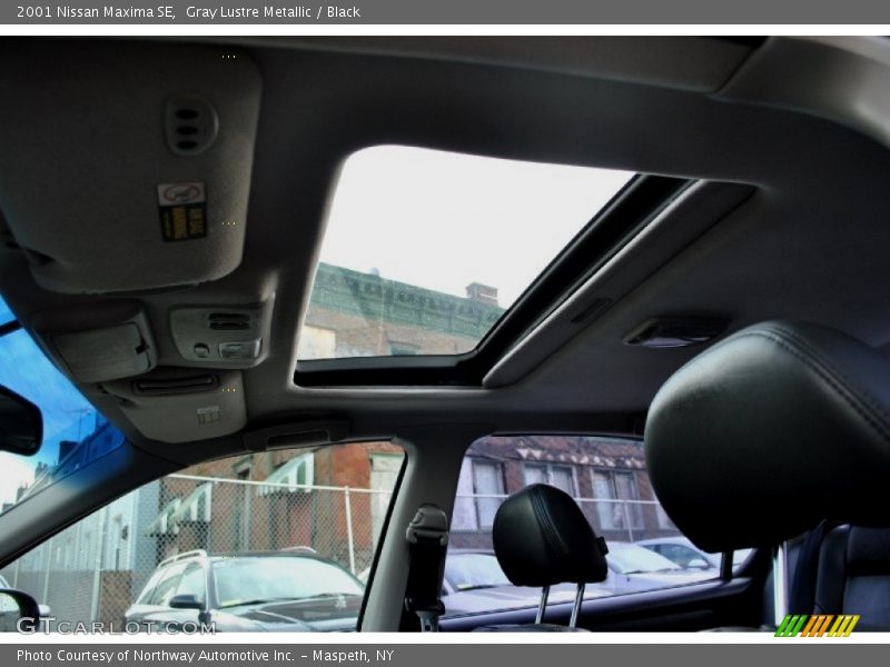 Gray Lustre Metallic / Black 2001 Nissan Maxima SE