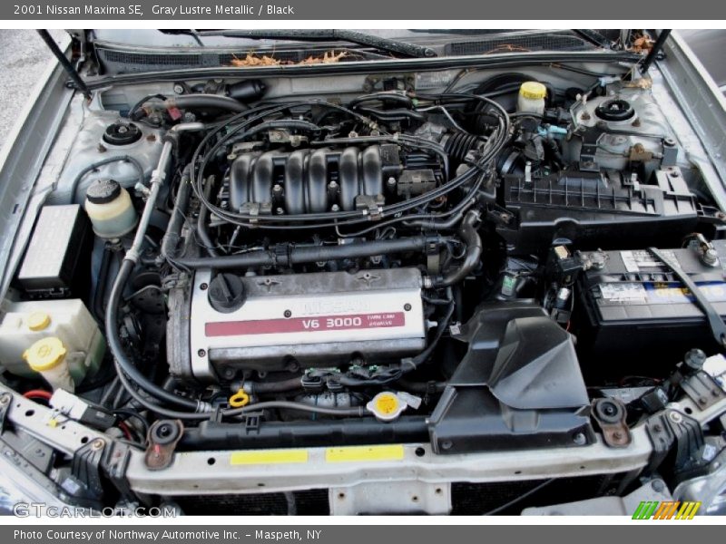 Gray Lustre Metallic / Black 2001 Nissan Maxima SE