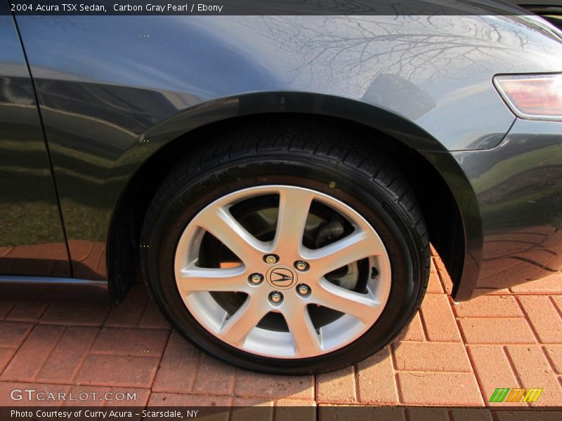Carbon Gray Pearl / Ebony 2004 Acura TSX Sedan
