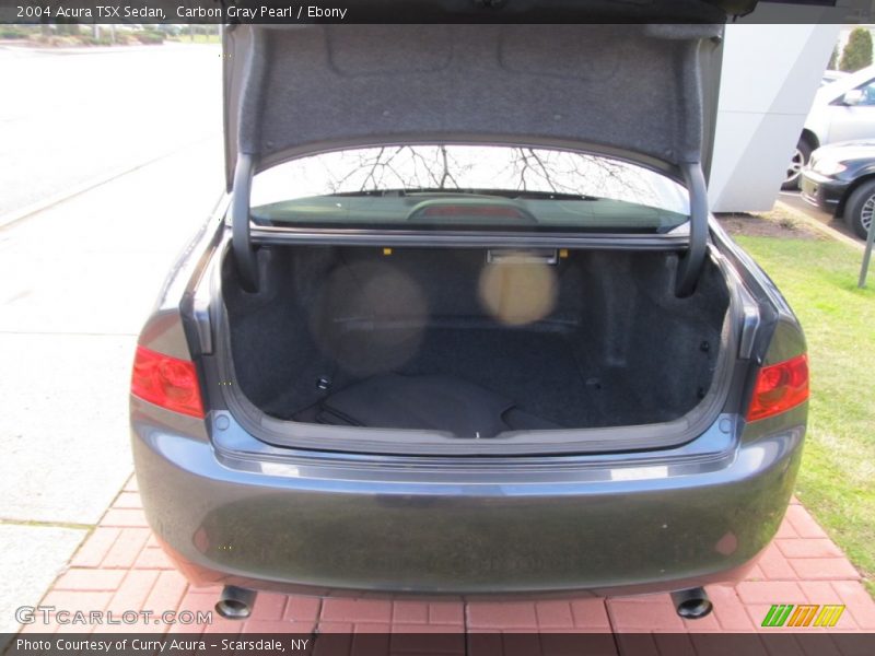 Carbon Gray Pearl / Ebony 2004 Acura TSX Sedan