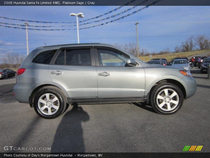 Platinum Sage / Gray 2008 Hyundai Santa Fe Limited 4WD