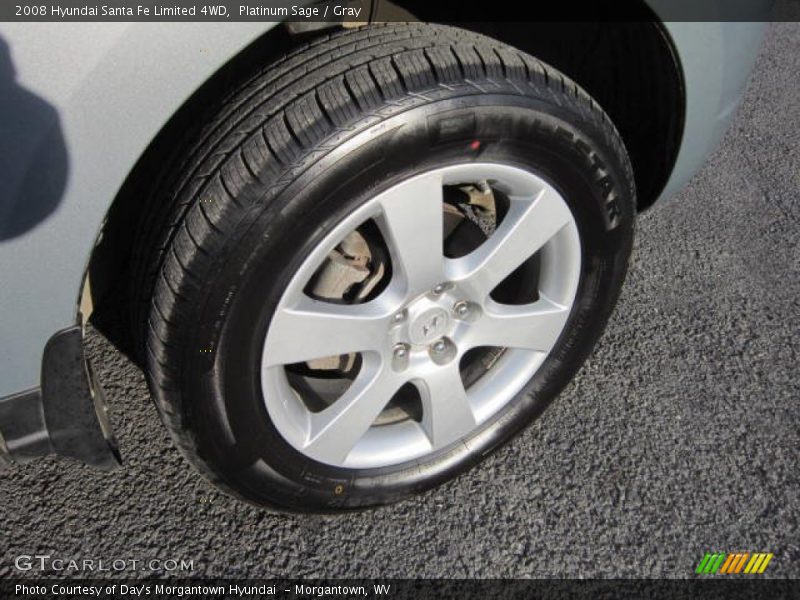 Platinum Sage / Gray 2008 Hyundai Santa Fe Limited 4WD