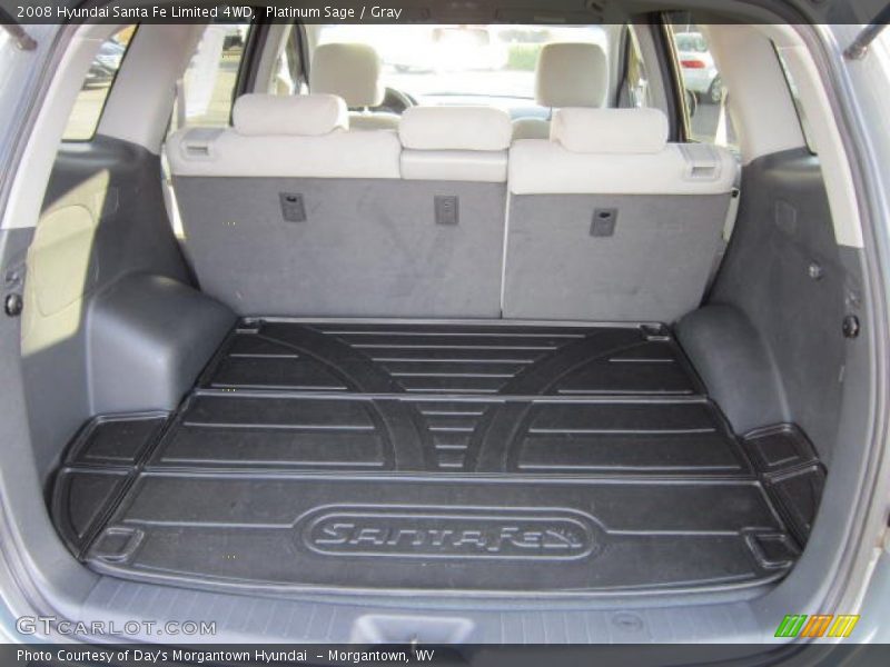 Platinum Sage / Gray 2008 Hyundai Santa Fe Limited 4WD