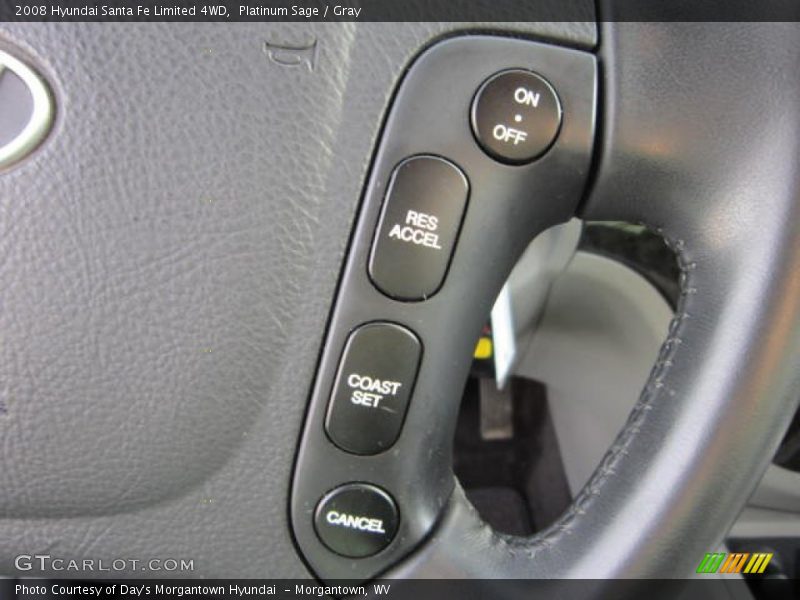 Platinum Sage / Gray 2008 Hyundai Santa Fe Limited 4WD