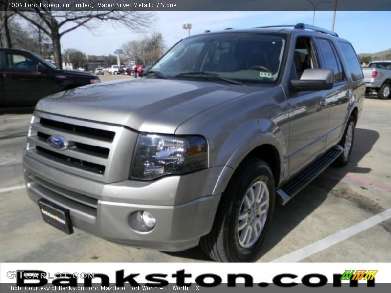 Vapor Silver Metallic / Stone 2009 Ford Expedition Limited