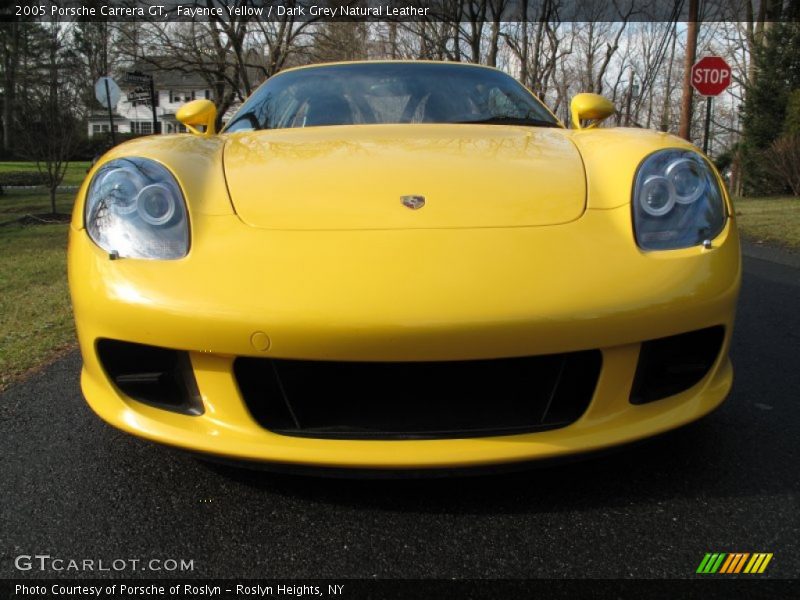 Fayence Yellow / Dark Grey Natural Leather 2005 Porsche Carrera GT