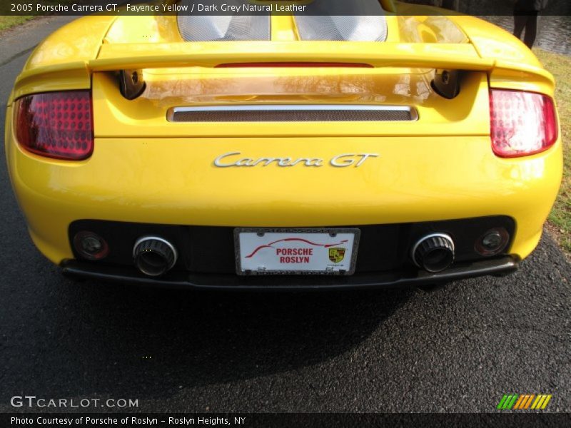 Fayence Yellow / Dark Grey Natural Leather 2005 Porsche Carrera GT