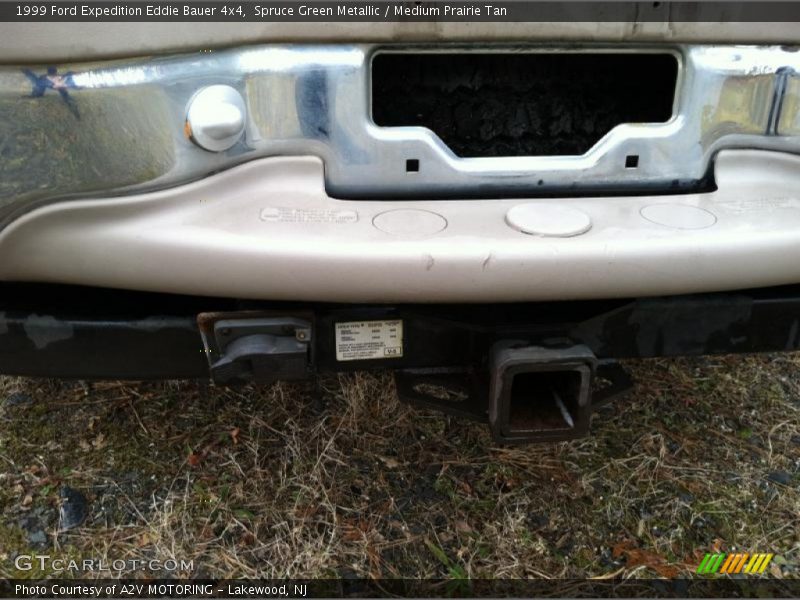 Spruce Green Metallic / Medium Prairie Tan 1999 Ford Expedition Eddie Bauer 4x4
