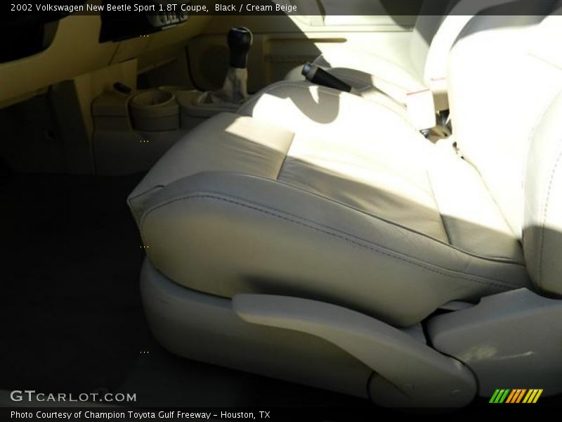 Black / Cream Beige 2002 Volkswagen New Beetle Sport 1.8T Coupe