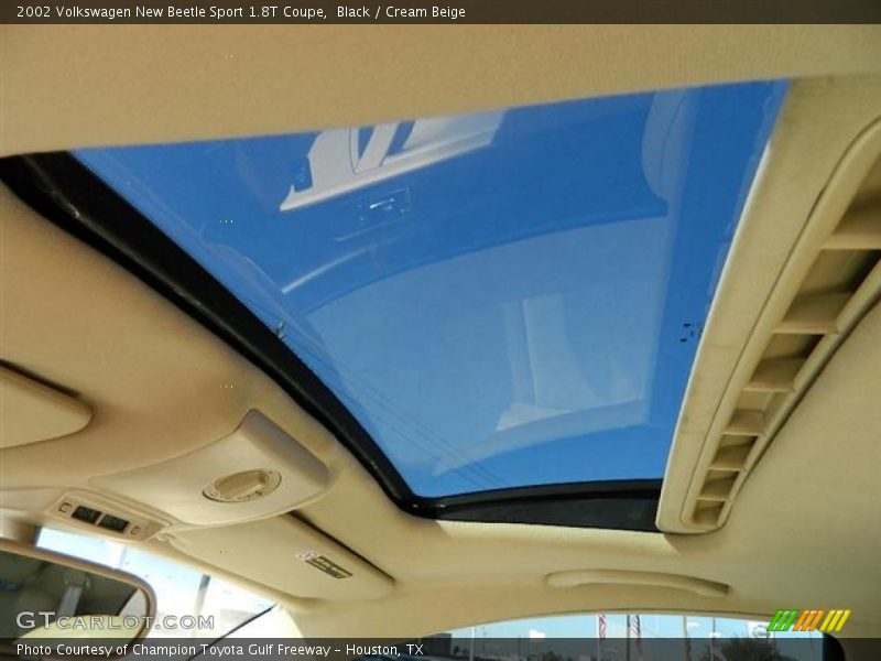 Black / Cream Beige 2002 Volkswagen New Beetle Sport 1.8T Coupe