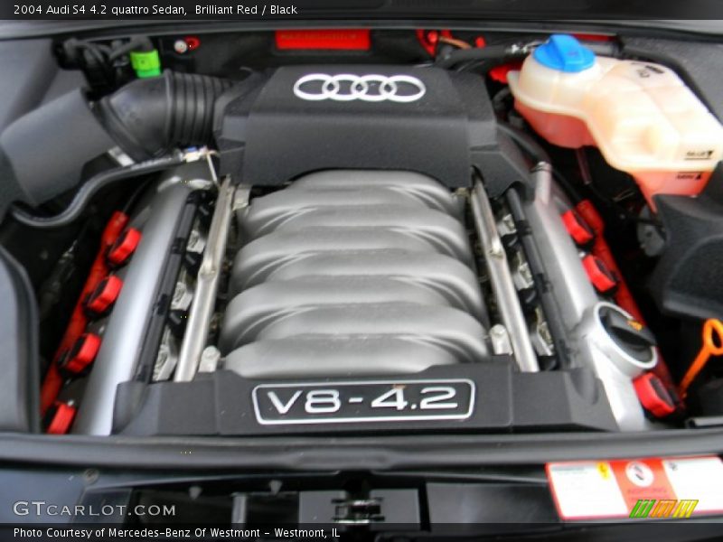  2004 S4 4.2 quattro Sedan Engine - 4.2 Liter DOHC 40-Valve V8