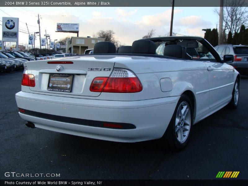 Alpine White / Black 2004 BMW 3 Series 325i Convertible