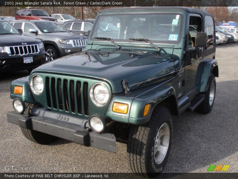 Forest Green / Camel/Dark Green 2001 Jeep Wrangler Sahara 4x4