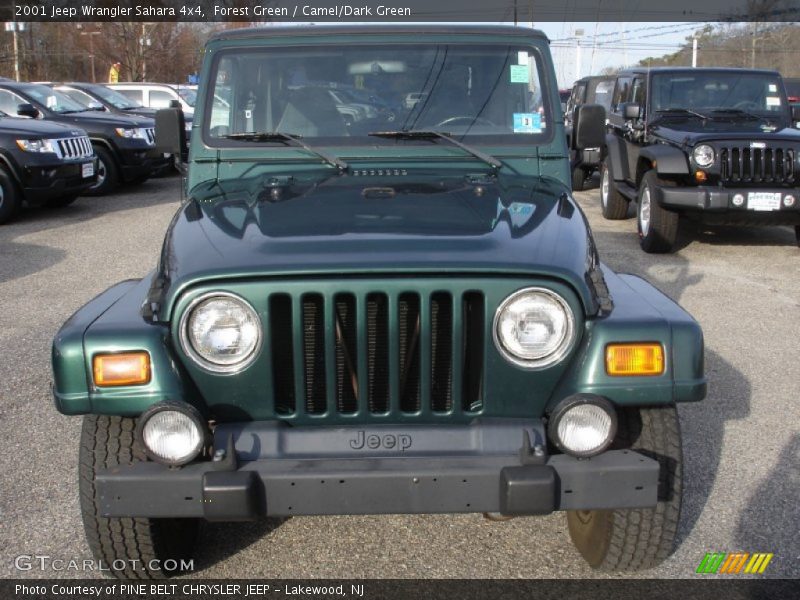 Forest Green / Camel/Dark Green 2001 Jeep Wrangler Sahara 4x4