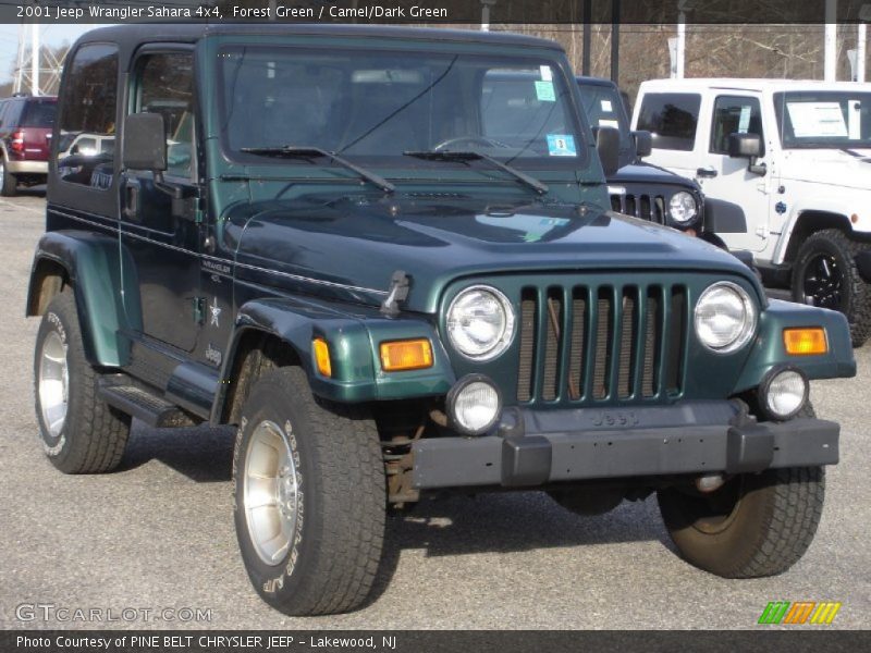 Forest Green / Camel/Dark Green 2001 Jeep Wrangler Sahara 4x4