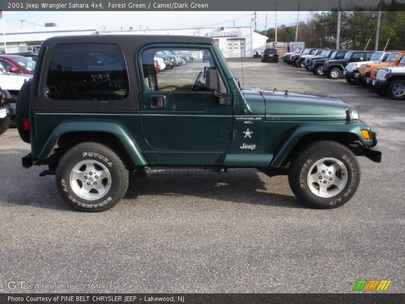 Forest Green / Camel/Dark Green 2001 Jeep Wrangler Sahara 4x4