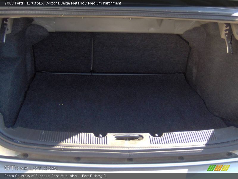 Arizona Beige Metallic / Medium Parchment 2003 Ford Taurus SES