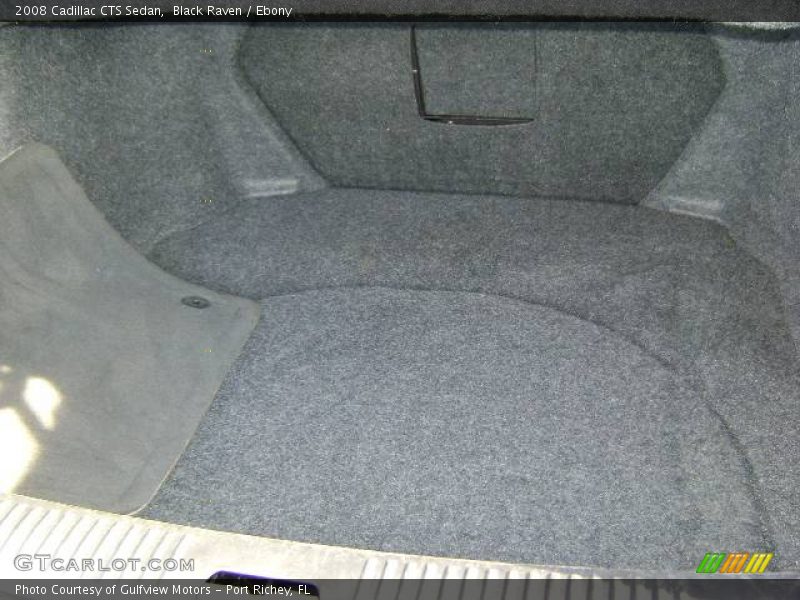 Black Raven / Ebony 2008 Cadillac CTS Sedan