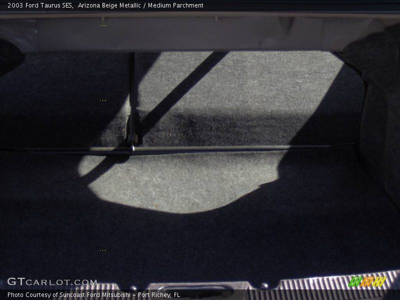 Arizona Beige Metallic / Medium Parchment 2003 Ford Taurus SES