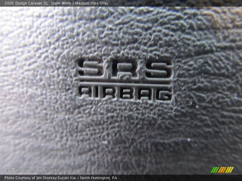 Stone White / Medium Slate Gray 2005 Dodge Caravan SE