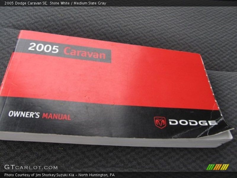 Stone White / Medium Slate Gray 2005 Dodge Caravan SE