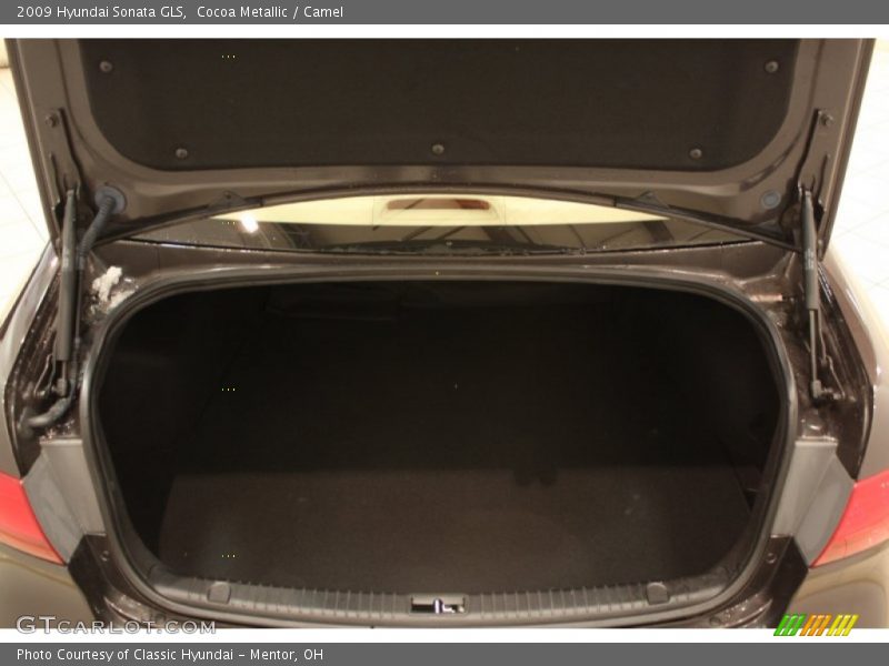 Cocoa Metallic / Camel 2009 Hyundai Sonata GLS