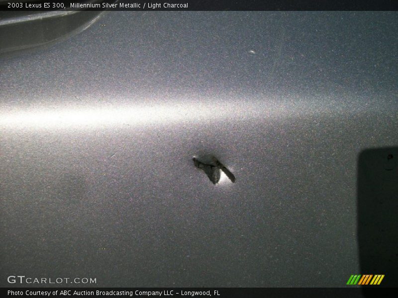 Millennium Silver Metallic / Light Charcoal 2003 Lexus ES 300