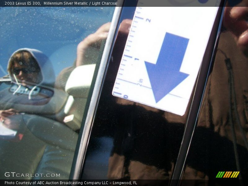 Millennium Silver Metallic / Light Charcoal 2003 Lexus ES 300