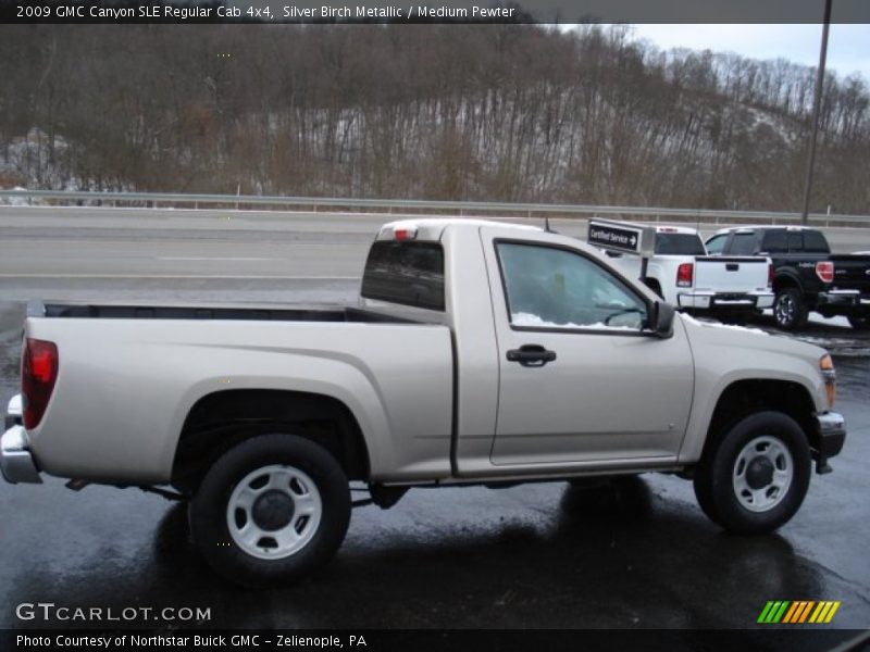  2009 Canyon SLE Regular Cab 4x4 Silver Birch Metallic