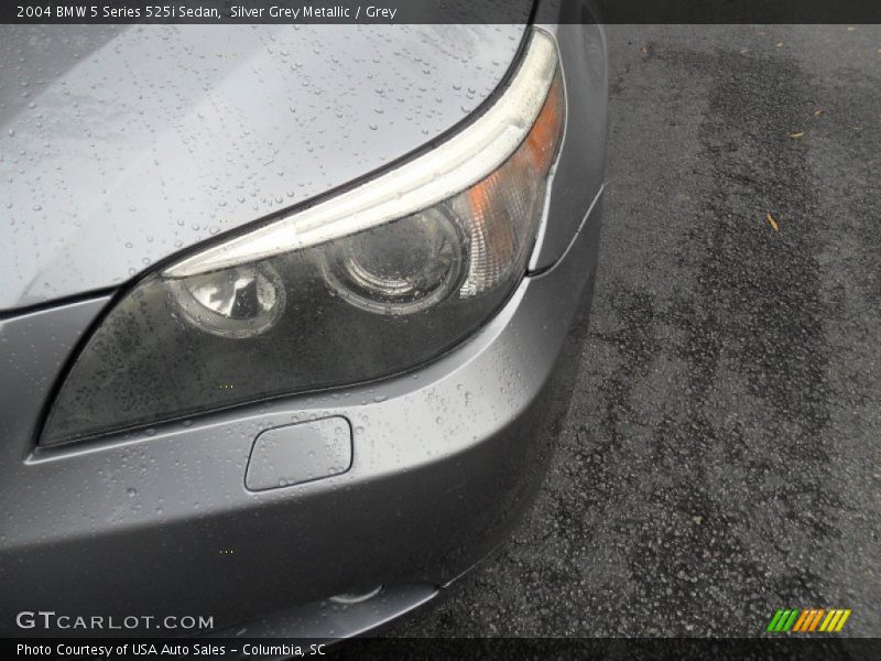 Silver Grey Metallic / Grey 2004 BMW 5 Series 525i Sedan