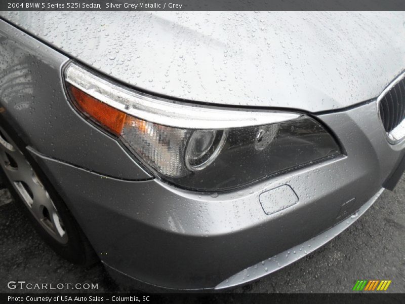 Silver Grey Metallic / Grey 2004 BMW 5 Series 525i Sedan