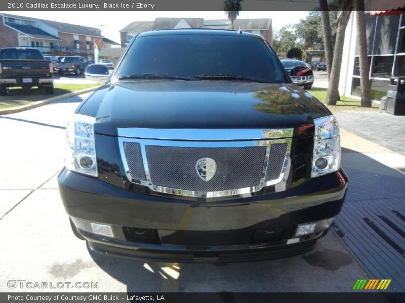 Black Ice / Ebony 2010 Cadillac Escalade Luxury