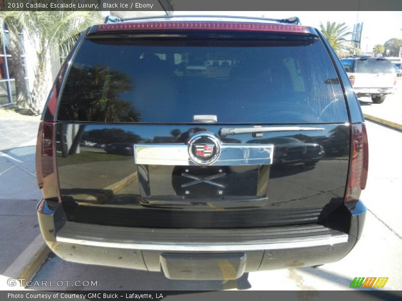 Black Ice / Ebony 2010 Cadillac Escalade Luxury