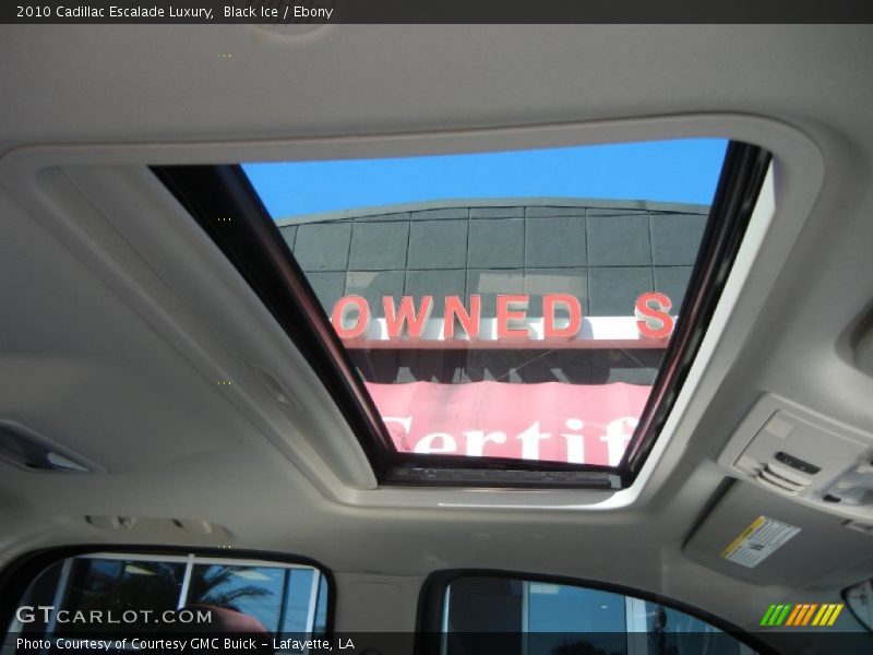 Black Ice / Ebony 2010 Cadillac Escalade Luxury