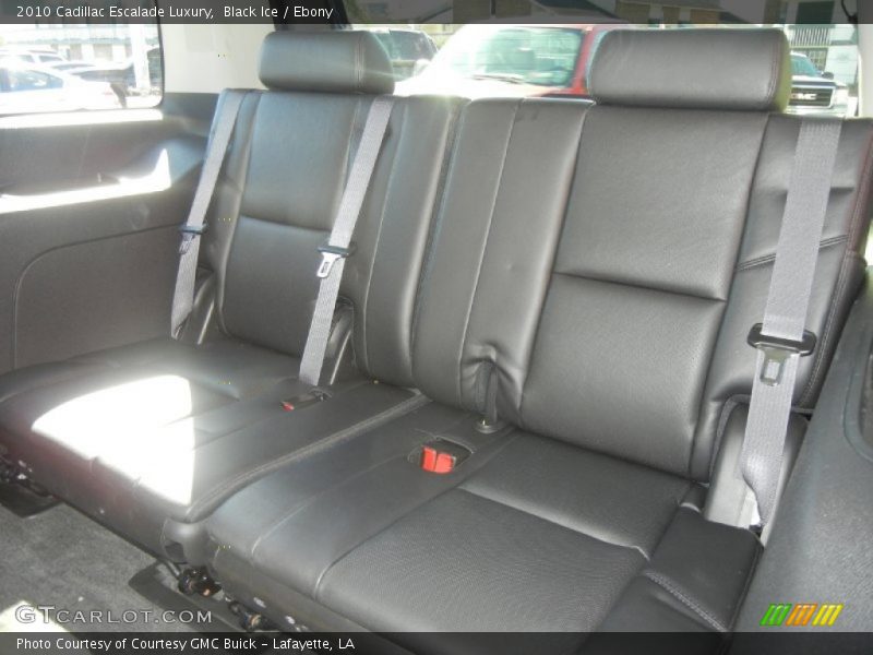 Black Ice / Ebony 2010 Cadillac Escalade Luxury