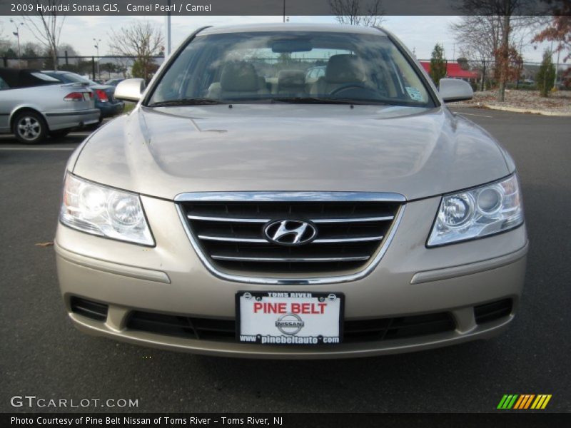 Camel Pearl / Camel 2009 Hyundai Sonata GLS