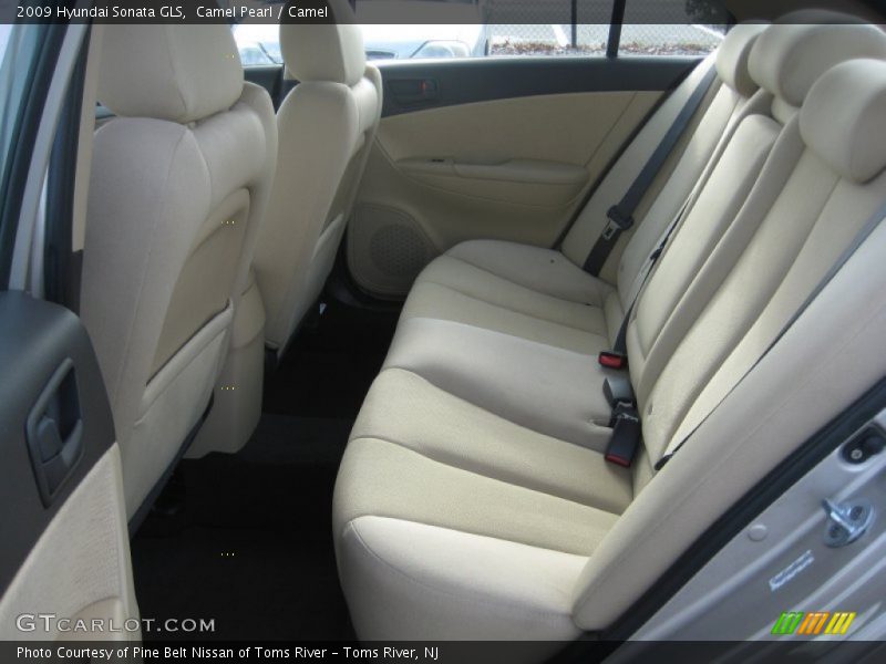 Camel Pearl / Camel 2009 Hyundai Sonata GLS