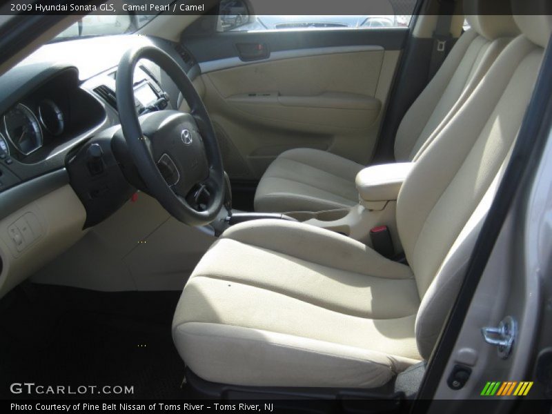 Camel Pearl / Camel 2009 Hyundai Sonata GLS