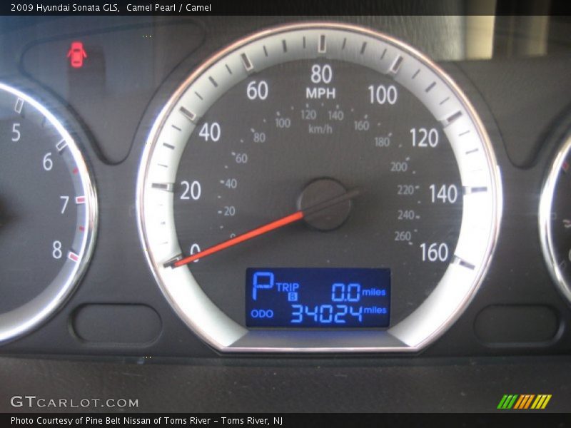 Camel Pearl / Camel 2009 Hyundai Sonata GLS