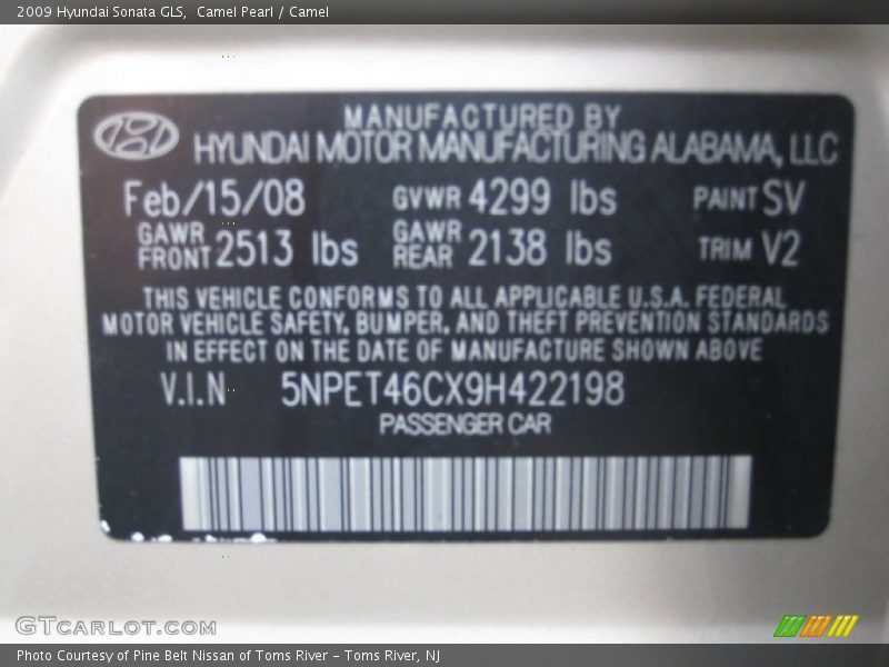 Camel Pearl / Camel 2009 Hyundai Sonata GLS