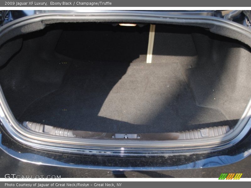 Ebony Black / Champagne/Truffle 2009 Jaguar XF Luxury