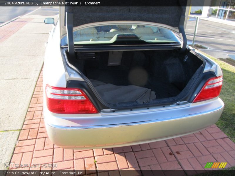 Champagne Mist Pearl / Parchment 2004 Acura RL 3.5