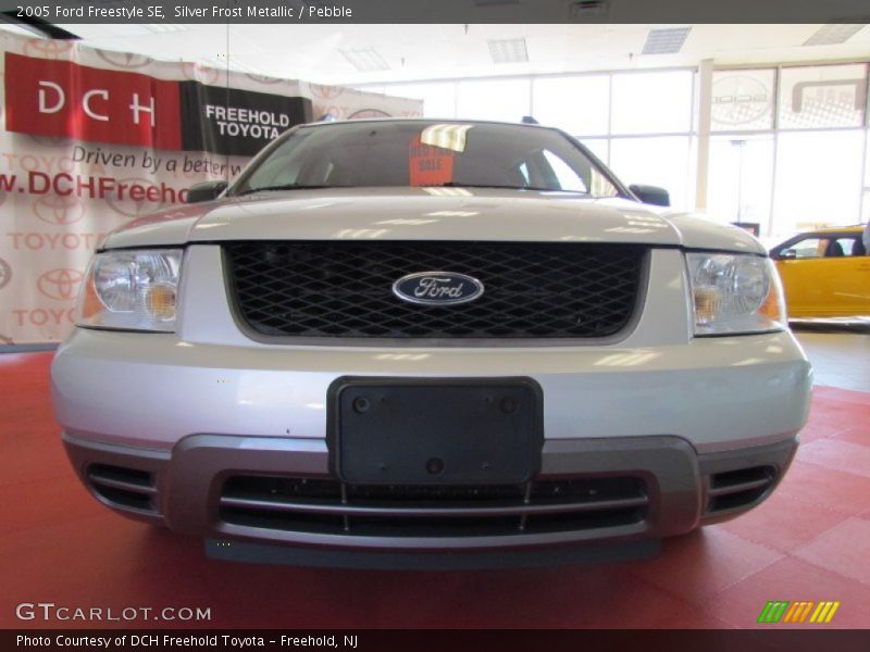 Silver Frost Metallic / Pebble 2005 Ford Freestyle SE