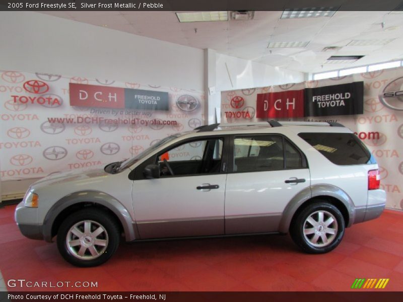 Silver Frost Metallic / Pebble 2005 Ford Freestyle SE