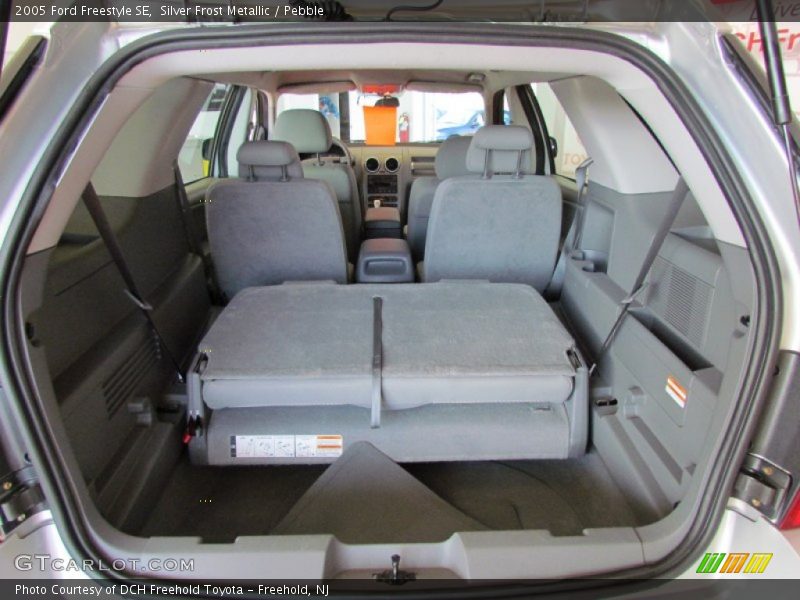 Silver Frost Metallic / Pebble 2005 Ford Freestyle SE