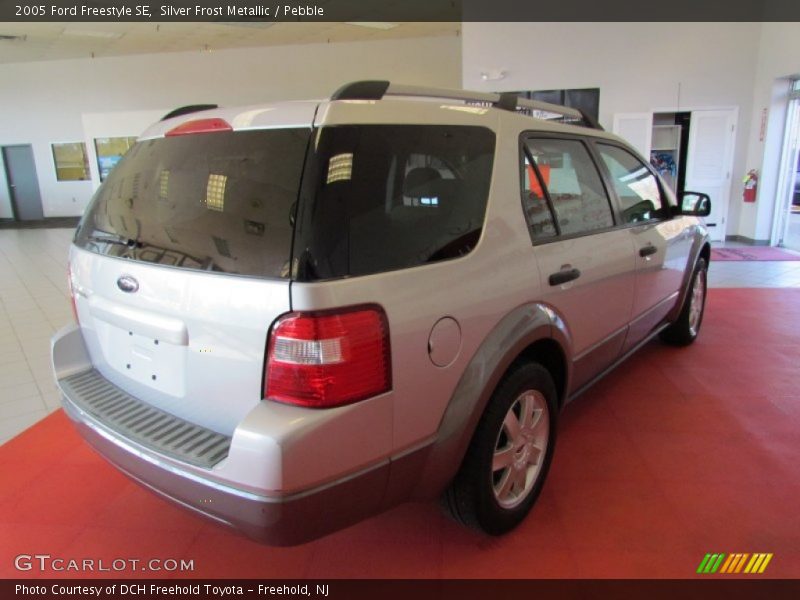 Silver Frost Metallic / Pebble 2005 Ford Freestyle SE