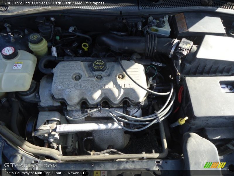 Pitch Black / Medium Graphite 2003 Ford Focus LX Sedan